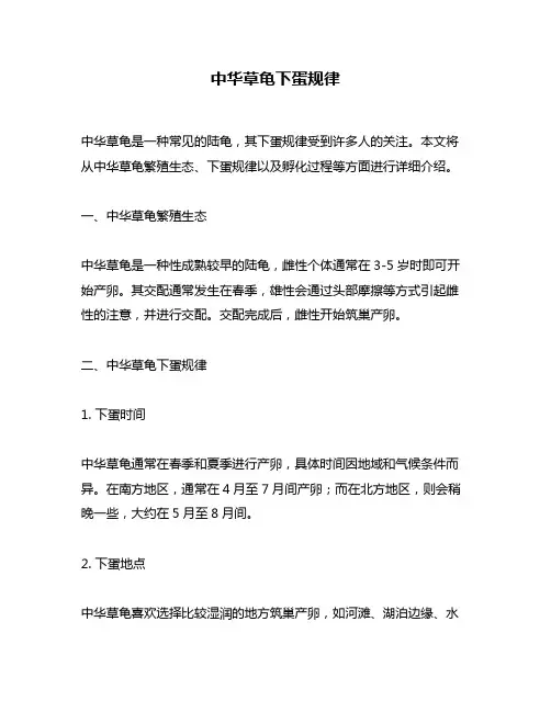 中华草龟下蛋规律