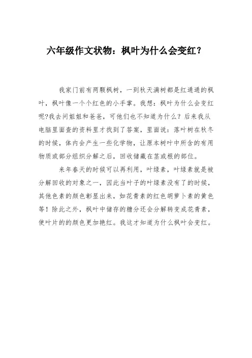 六年级作文状物：枫叶为什么会变红？