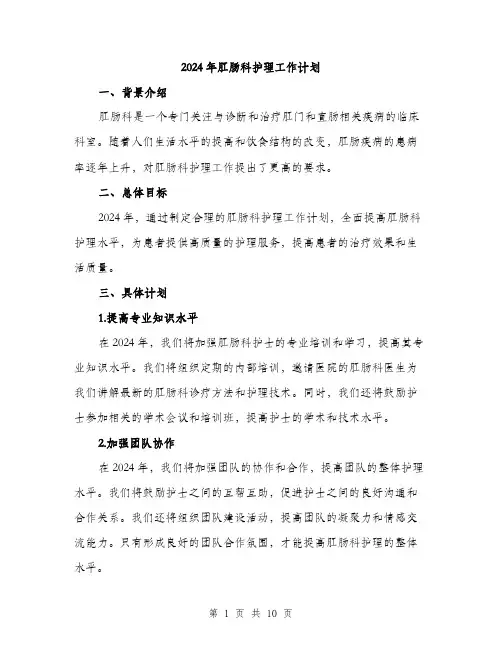 2024年肛肠科护理工作计划(4篇)
