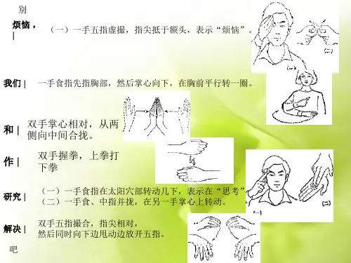 手语日常用语小集锦ppt课件