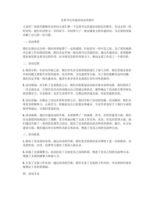 支部书记共建活动总结报告