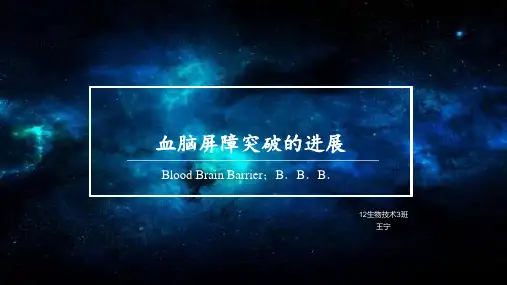 血脑屏障及其突破课堂讲解