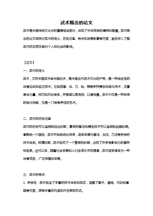 武术概念的论文