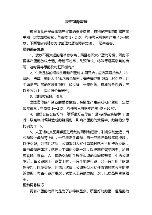 怎样饲养蛋鹅