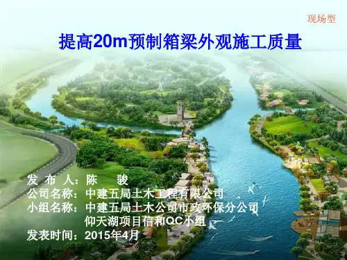 提高箱梁外观质量QC