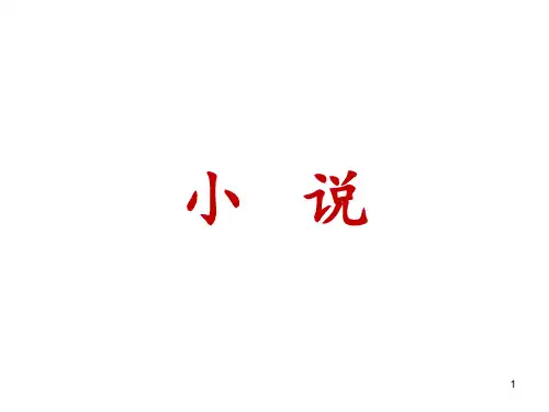 小说知识点全解有图形说明 ppt课件