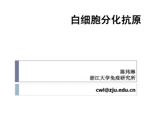5.白细胞分化抗原及黏附分子