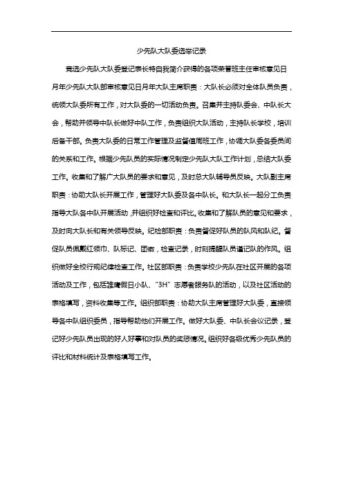 少先队大队委选举记录