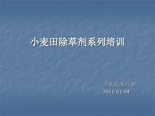 当前小麦田除草剂简介张红星.ppt