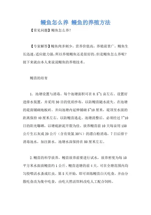 鳗鱼怎么养 鳗鱼的养殖方法