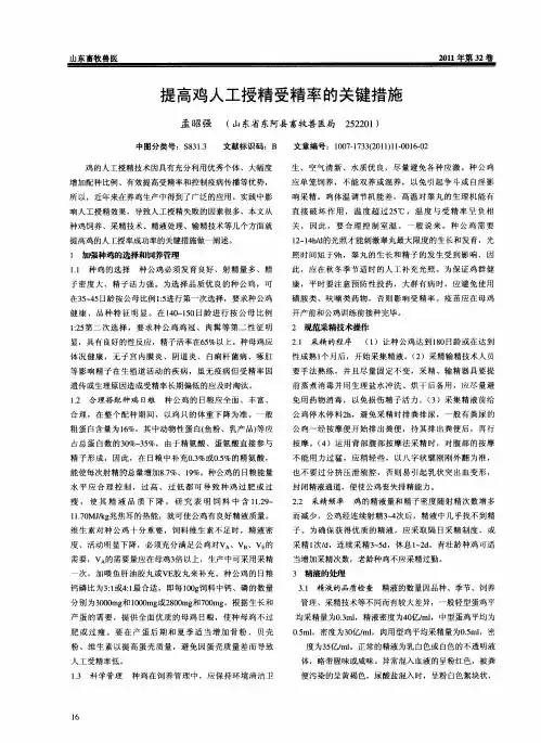 提高鸡人工授精受精率的关键措施