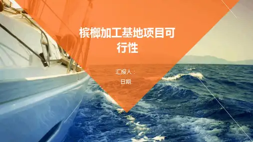 槟榔加工基地项目可行性