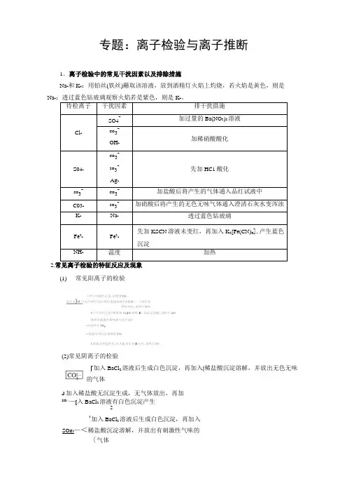 专题：离子检验与离子推断