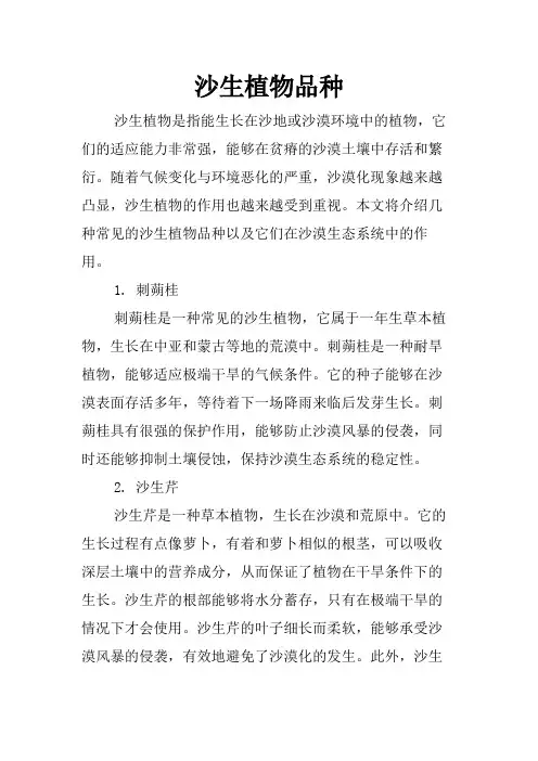 沙生植物品种