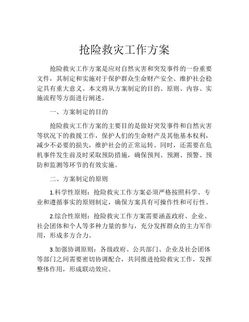 抢险救灾工作方案