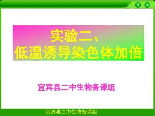 课用_低温诱导染色体加倍