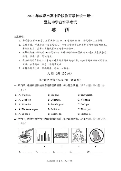 2024年成都市中考英语试题(含答案)