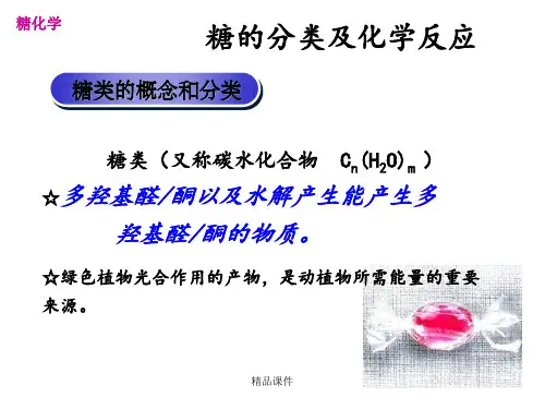 糖的分类及化学反应ppt课件