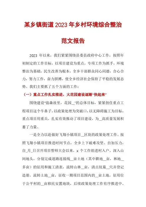 某乡镇街道2023年乡村环境综合整治范文报告