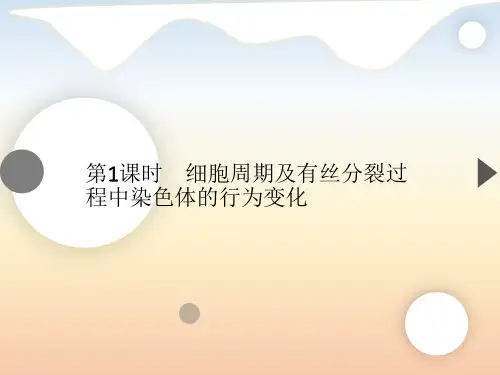 生物新浙科版必修1  4.1 细胞周期及有丝分裂过程中染色体的行为变化