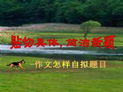 高考作文如何拟题课堂用.ppt1
