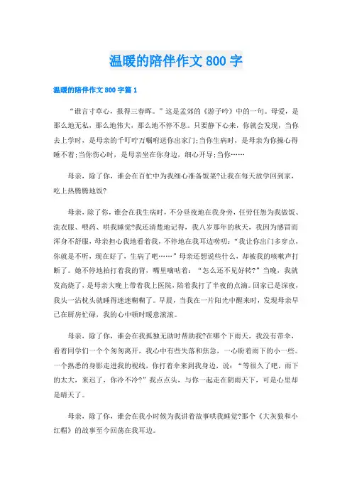 温暖的陪伴作文800字