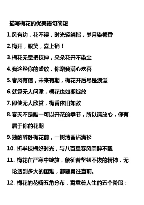 描写梅花的优美语句简短