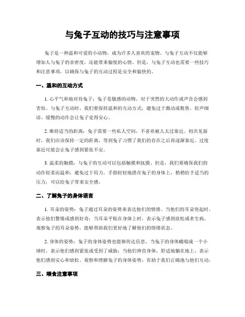 与兔子互动的技巧与注意事项