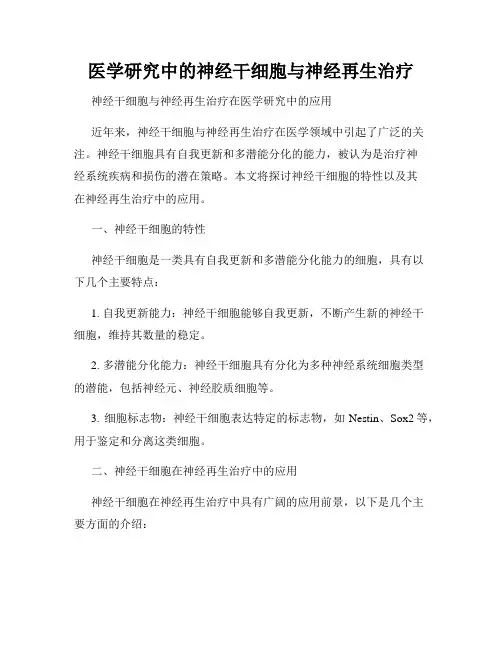 医学研究中的神经干细胞与神经再生治疗