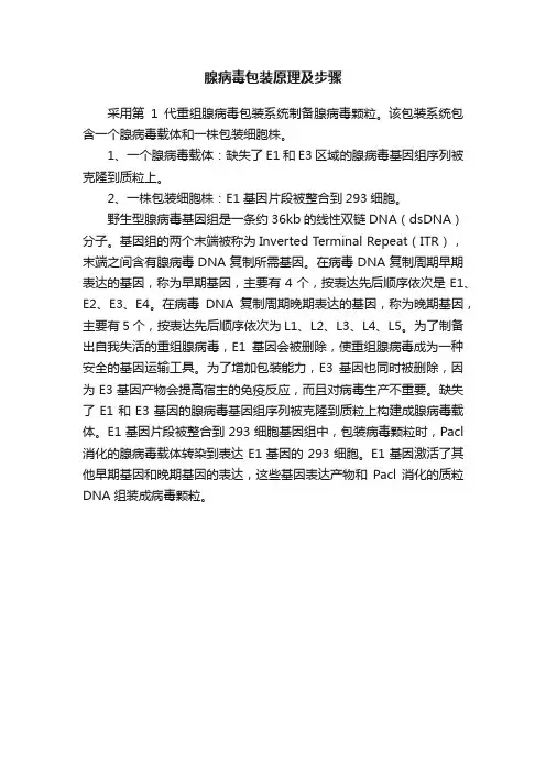 腺病毒包装原理及步骤