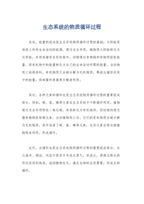 生态系统的物质循环过程