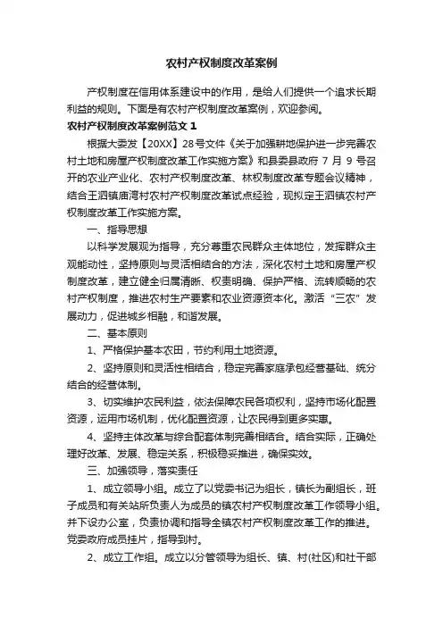 农村产权制度改革案例