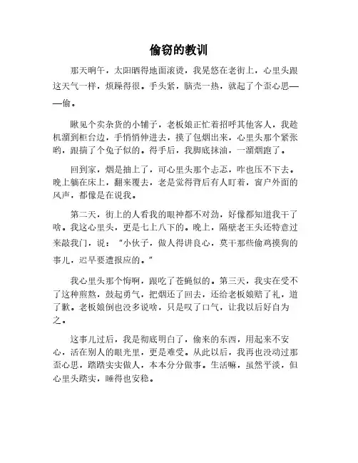 偷窃的教训作文