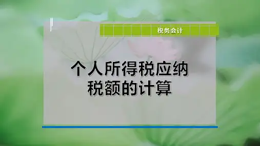 个人所得税应纳税额的计算PPT模板
