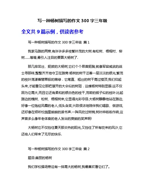 写一种杨树描写的作文300字三年级
