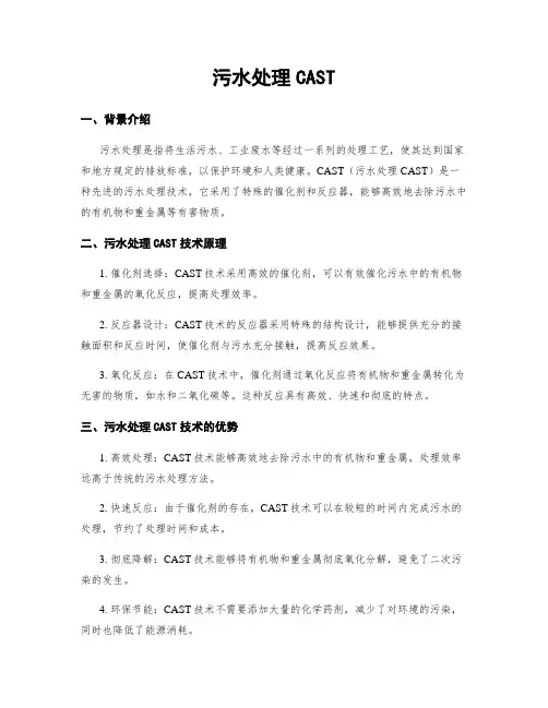 污水处理CAST