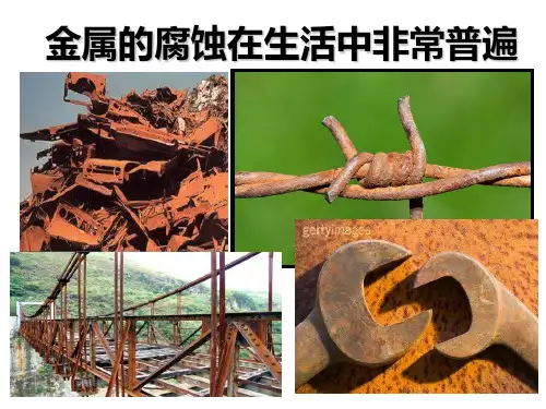 金属的腐蚀与防护