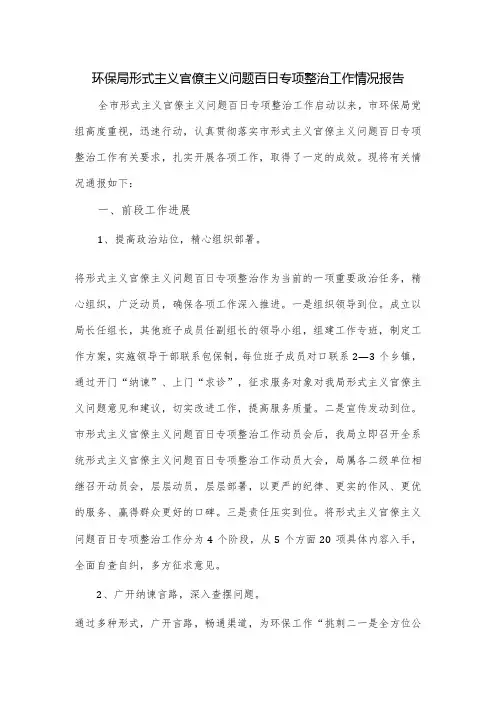 环保局形式主义官僚主义问题百日专项整治工作情况报告