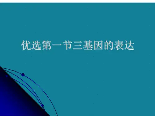 优选第一节三基因的表达