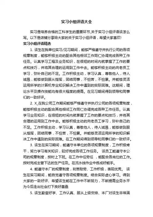 实习小组评语大全