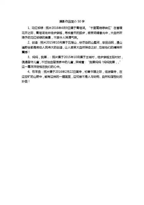 摄影作品简介50字