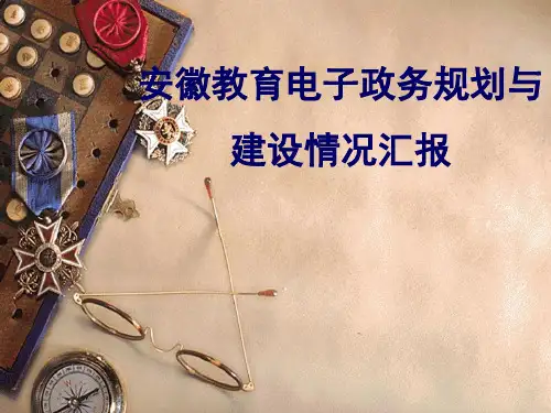 安徽教育电子政务情况汇报