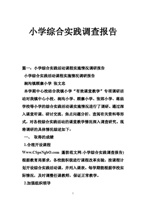 小学综合实践调查报告
