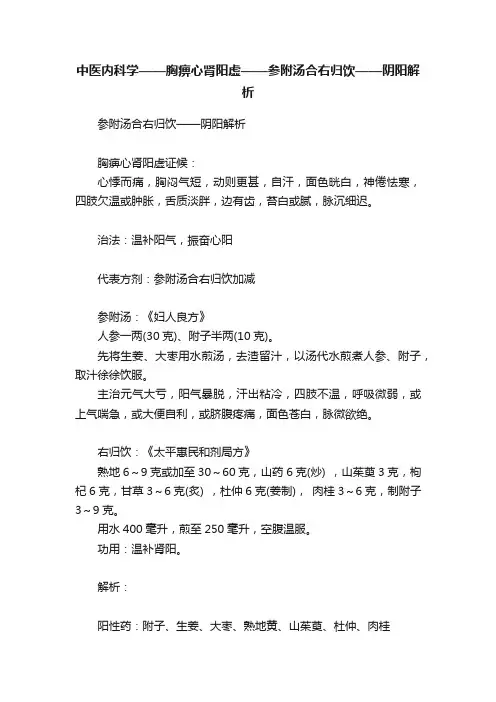 中医内科学——胸痹心肾阳虚——参附汤合右归饮——阴阳解析