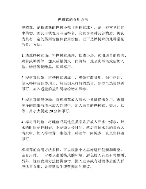 桦树茸的食用方法