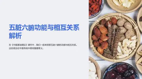 《中医基础理论》课件：五脏六腑功能与相互关系解析