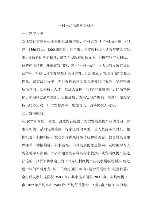 一村一品示范典型材料