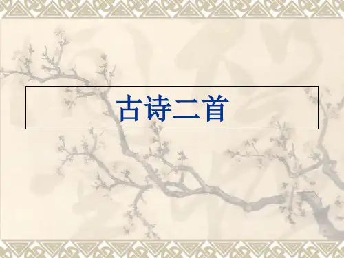 (课堂教学课件1)梅花