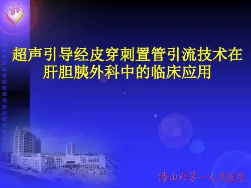 超声引导经皮穿刺置管引流技术在肝胆胰外科中的临床应用2015