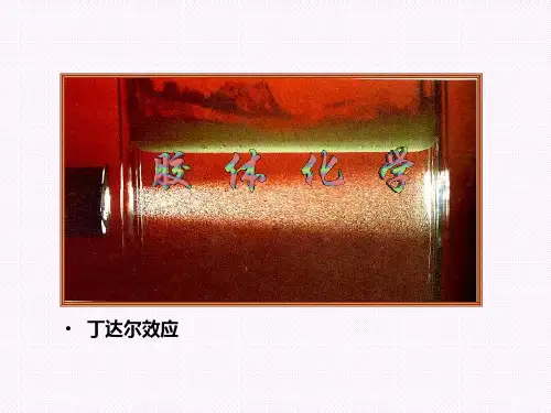 第八章 溶胶